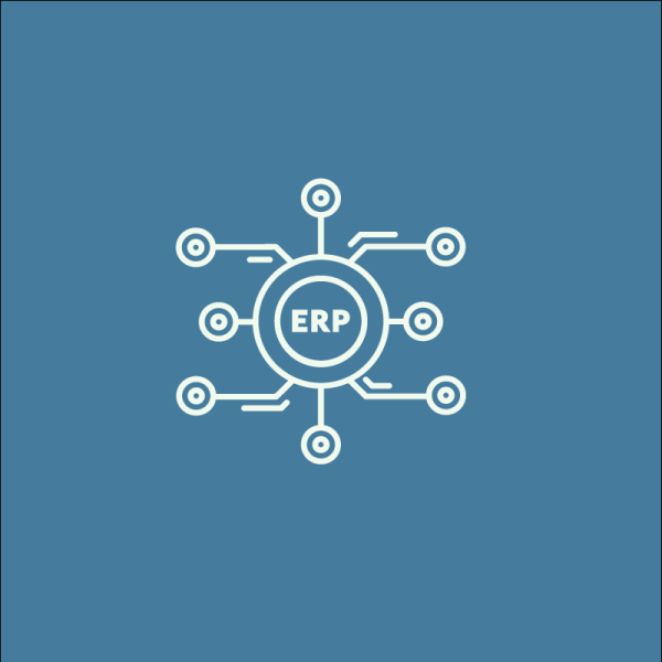 Software ERP Bronce